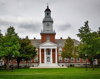 低龄留学，小学阶段如何做好准备？