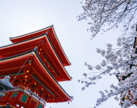 很多同学听说过，但并不了解的升学途径——日本AO入试