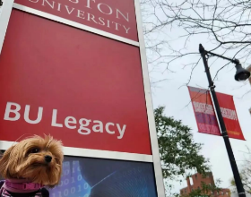 美国大学流行“养鱼”？想从Waitlist里被捞上岸真的好难！