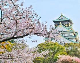 日本留学费用大揭秘：从学费到生活费，帮你一网打尽！