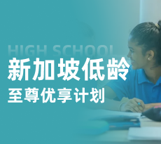 新加坡低龄-至尊优享计划