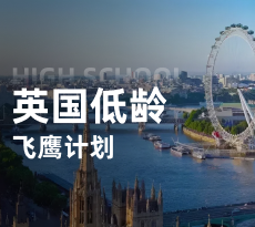 英国低龄-飞鹰计划