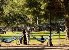 UC扩招实锤：4610名中国新生入读，不愧是顶流梦校！