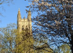 全美TOP10大学首次开放CC转学录取通道，弯道超车机会来了！