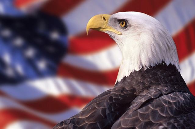 美国高中有哪些分类？各类美国高中有何利弊？
