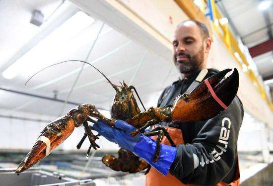 对比分析：美国生物学、生物工程、生物医学工程