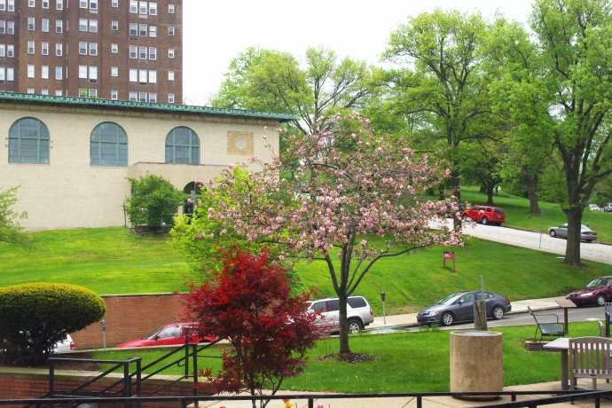 美国计算机专业CS有哪些比较好的大学？