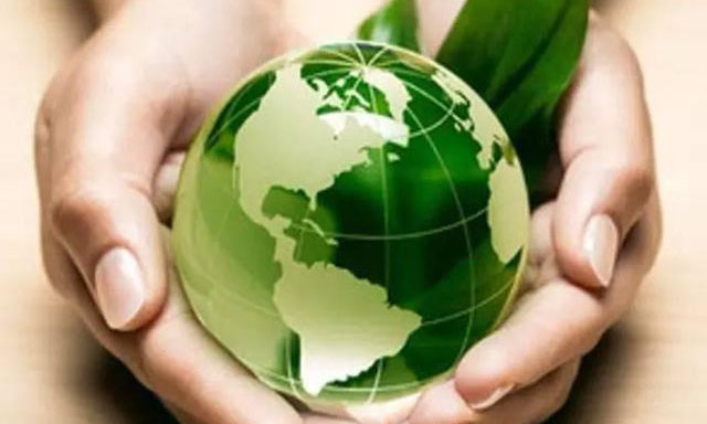 专业推荐：美国留学最受欢迎的八个绿色专业