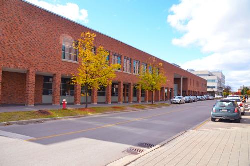 约克大学是英国大学还是加拿大大学？