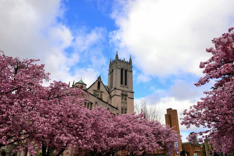 文科专业留学可以申请美国哪些名校？