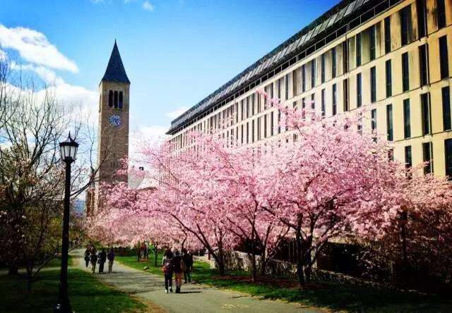 美国留学工程管理专业就业前景怎么样？