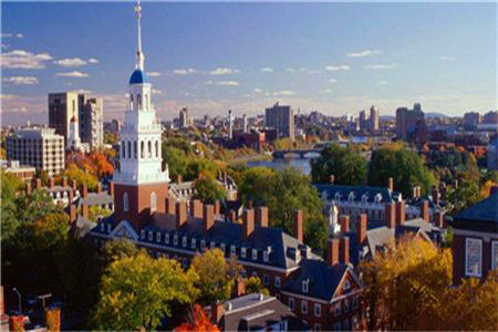 哈佛大学研究生申请什么专业比较好？